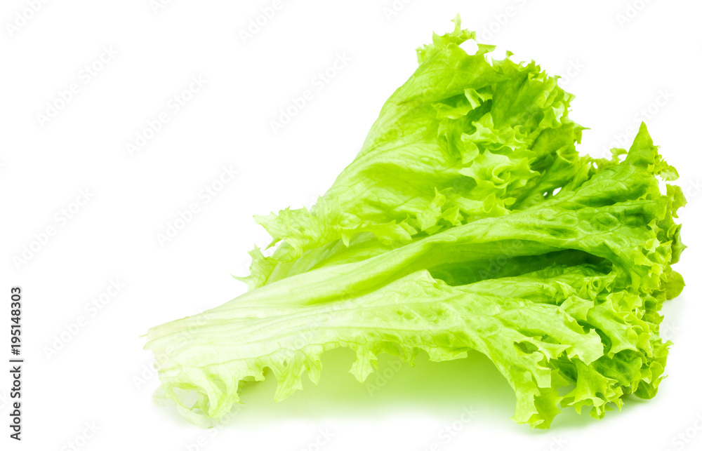 leaf fresh lettuce isolated on white background leaf fresh lettuce isolated on white background