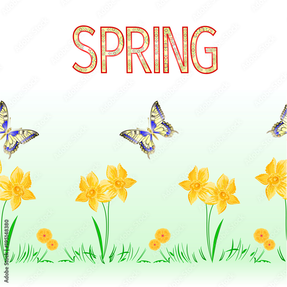 Spring border seamless background butterfly and daffodil vector Illustration for use in interior design, artwork, dishes, clothing, packaging, greeting cards