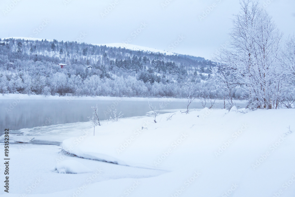 Beautiful frozen river with a trees on a bank. White winter landscape of central Norway. Light scenery.