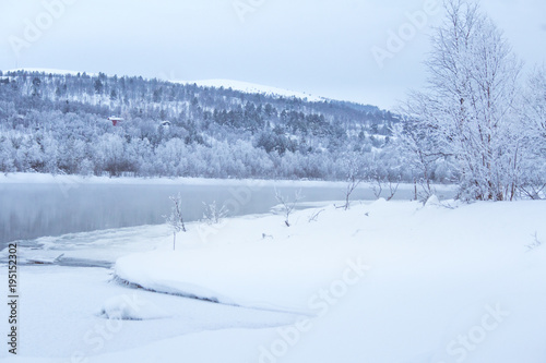 Beautiful frozen river with a trees on a bank. White winter landscape of central Norway. Light scenery. © dachux21