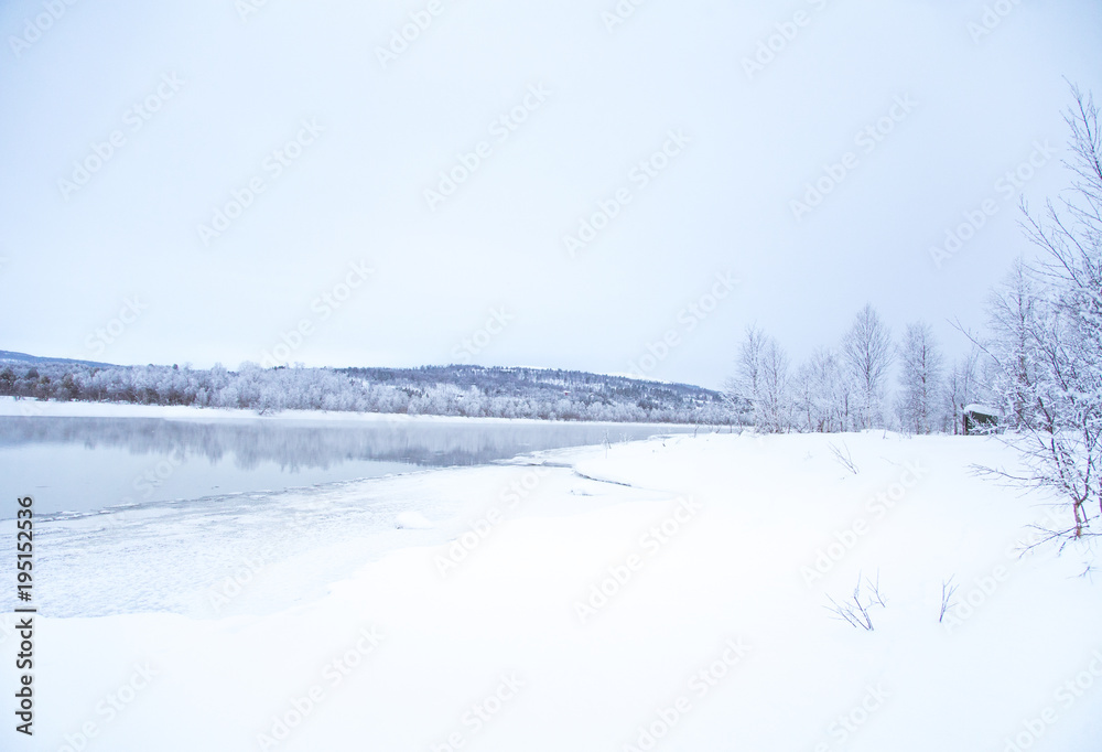 Beautiful frozen river with a trees on a bank. White winter landscape of central Norway. Light scenery.