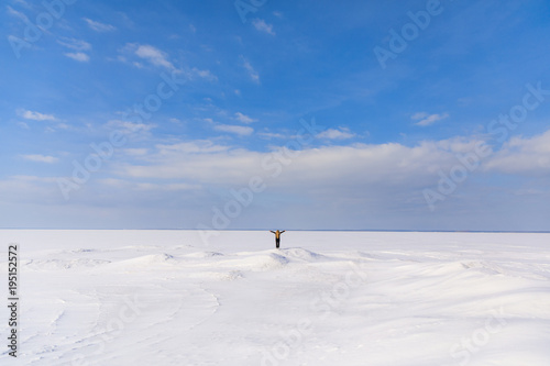 Woman on the frozen bay in winter
