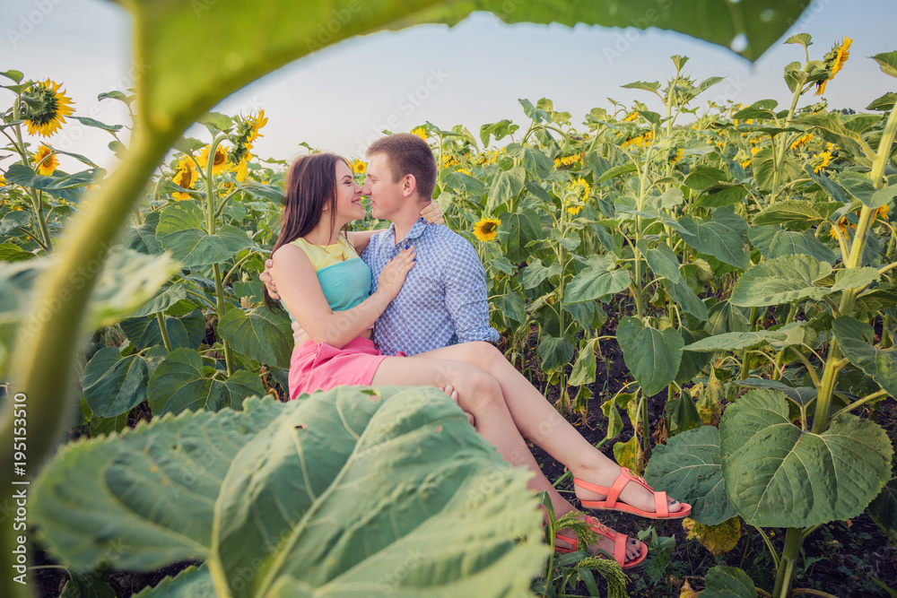 Obraz premium girl and man in a field of sunflowers