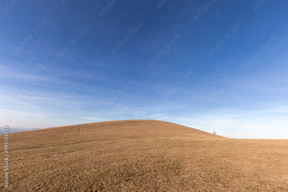 A distant, loney tree on a bare hill, beneath a blue sky with white clouds