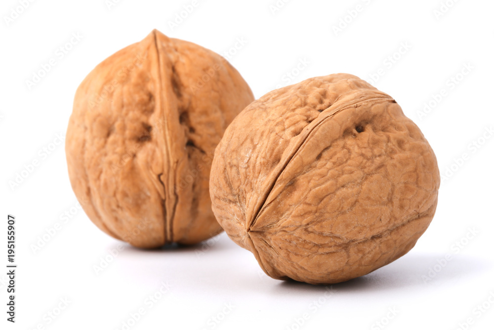 Walnut Walnut