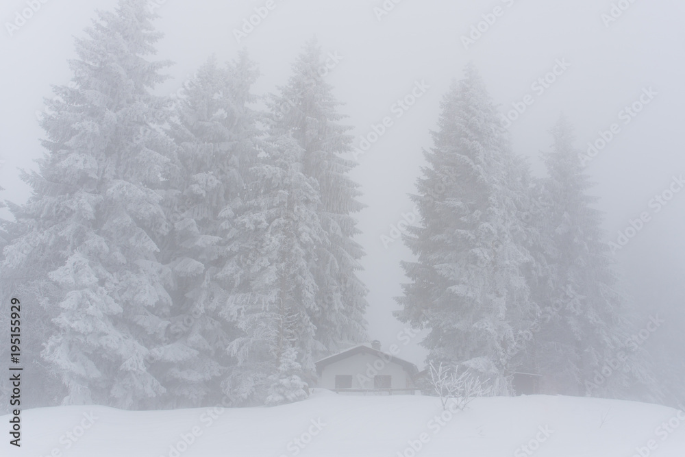 Naklejka premium small idyllic mountain cabin in the forest and mountains in deep winter in the Alps