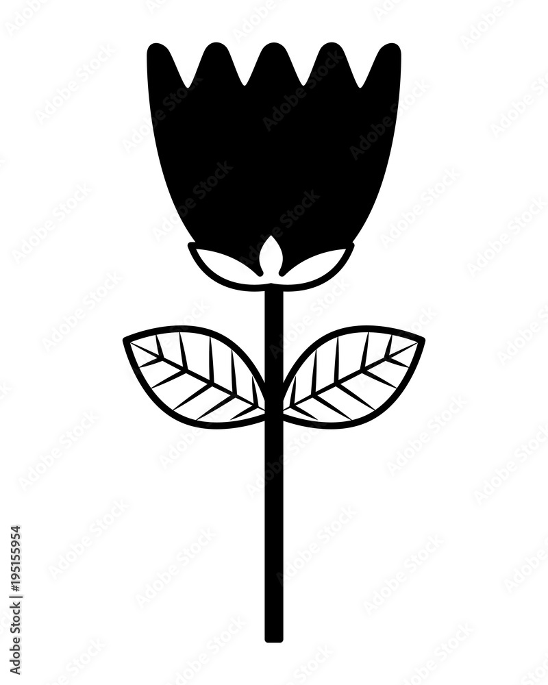 flower tulip stem petals decoration flower tulip stem petals decoration