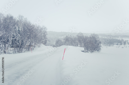 A beautiful white road through the forest in central Norway with safety poles. Beautiful winter landscape in Scandinavia.