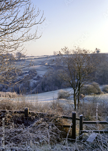 England, Gloucestershire, Cotswolds, Winter view , heavy frost near Chalford photo