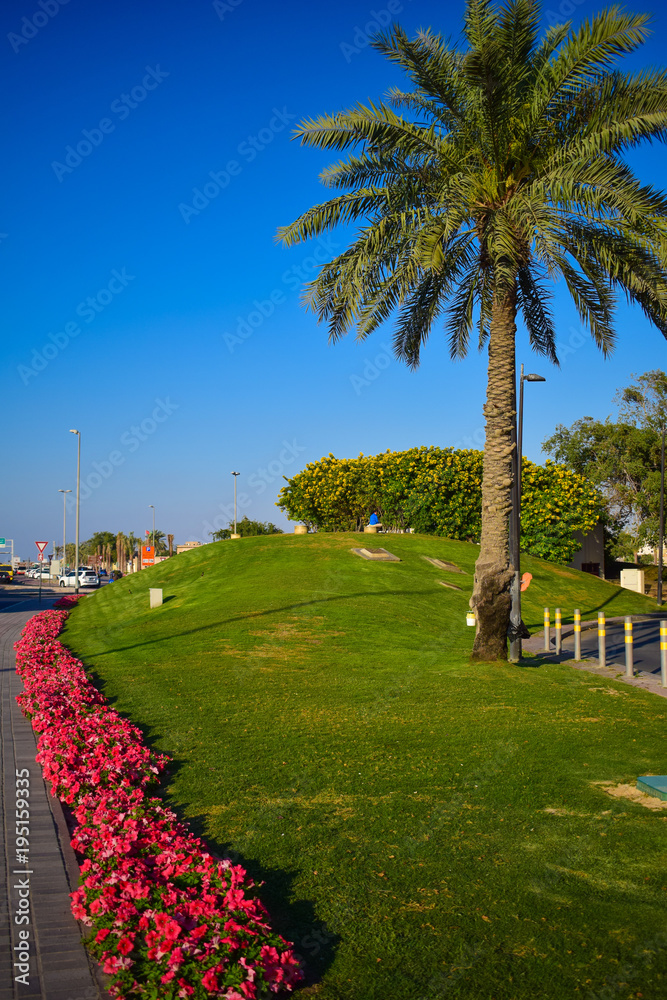 Fototapeta premium landscap in day light and tree