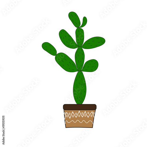 Cute cactus in a flowerpot on a white background.