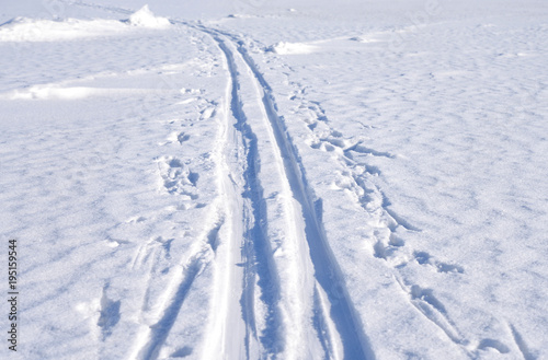 Cross country ski track. © konstan