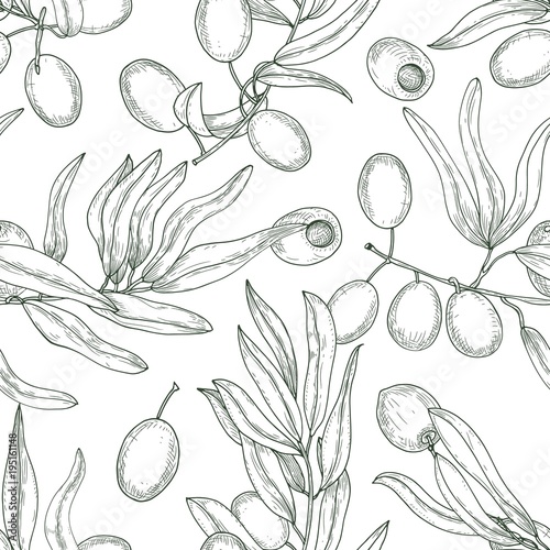 Beautiful natural seamless pattern with olive tree branches with leaves and r...