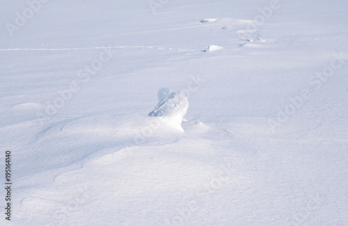 Fresh snow background. © konstan