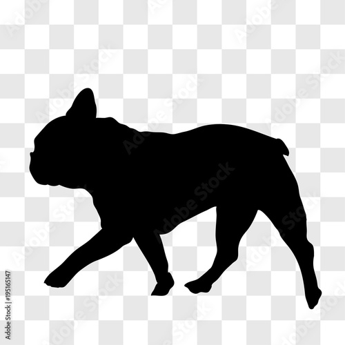 Silhouette of a running French bulldog seen from the left side in black on a transparent background.