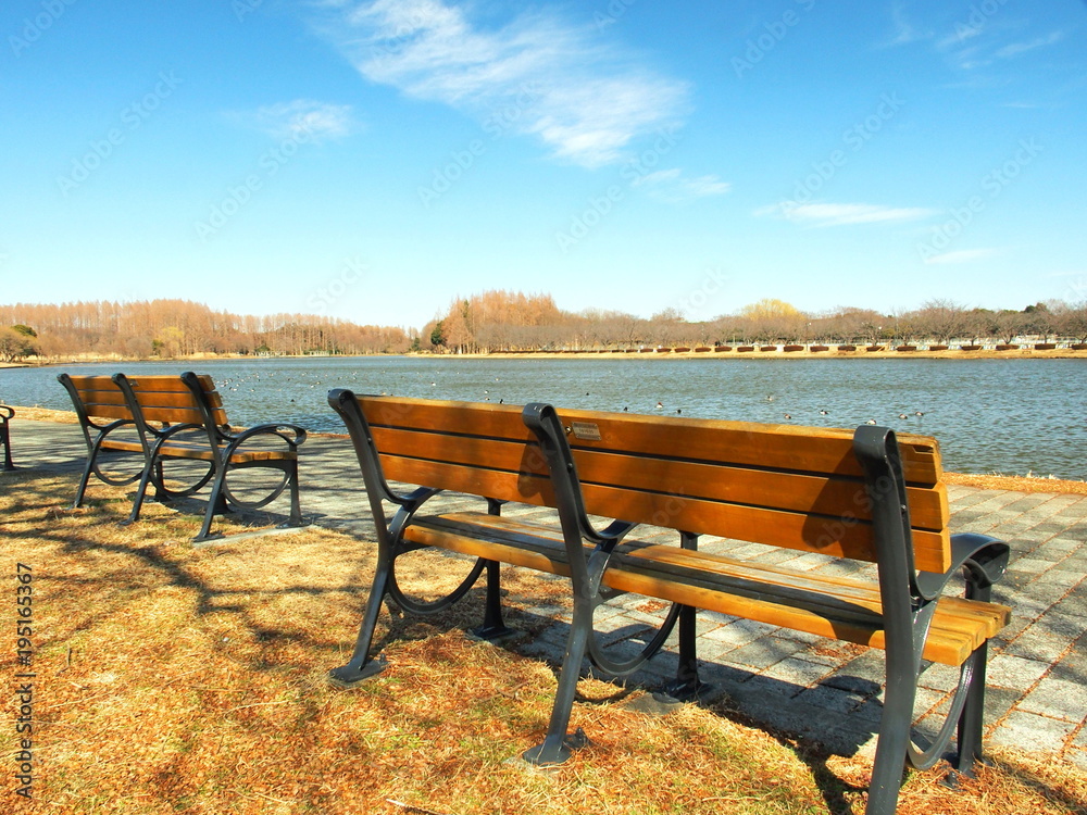 Obraz premium ベンチのある水元公園風景