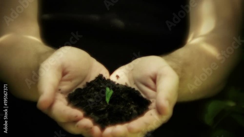 A seedling growing in the palm of a males hand. Represent growth, new life, and prosperity.