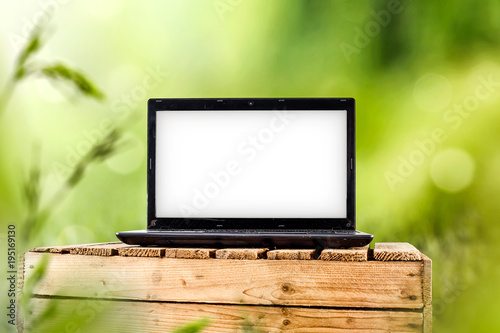 laptop of free space and spring time 