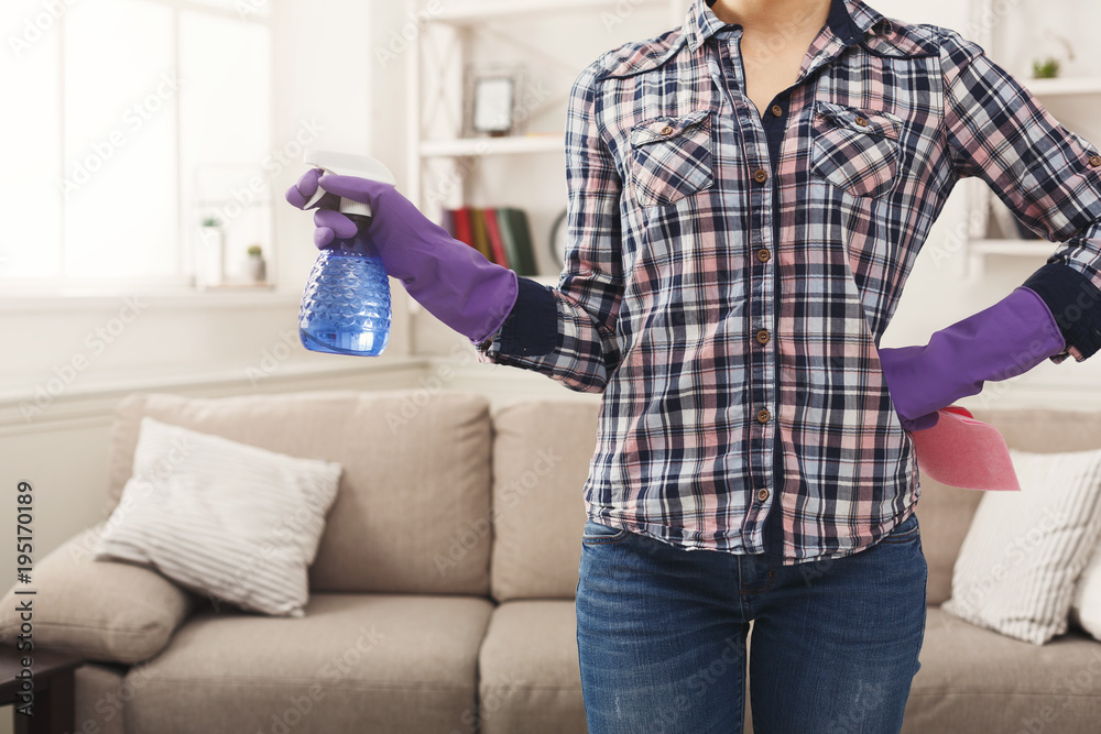 Obraz premium Woman with cleaning equipment ready to clean room