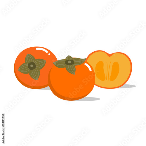 persimmon isolated vector. Basic RGB photo