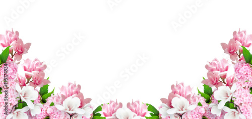Fototapeta Naklejka Na Ścianę i Meble -  Magnolia and hortensia flowers isolated on white background and place for your photo or text