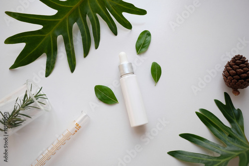 cosmetic skincare nature background flat lay. herbal medicine with herb and green leaves .beauty spa product,top view.