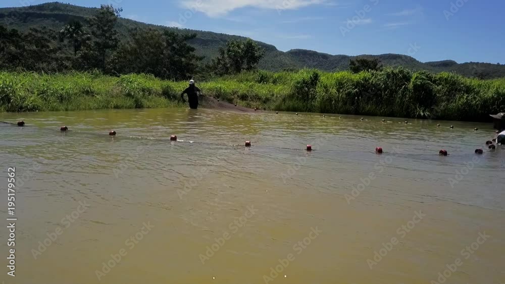 Three fishermen wade through a small pond with a net to catch fish on fish farm in rural Brazil Three fishermen wade through a small pond with a net to catch fish on fish farm in rural Brazil