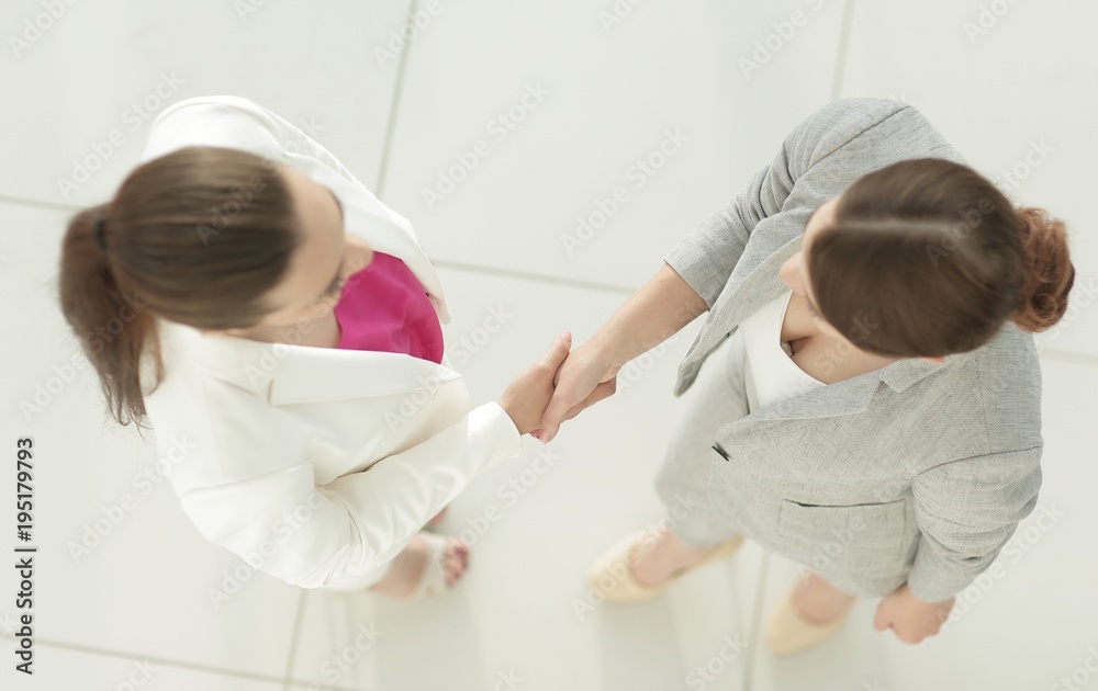 Obraz premium handshake of two business woman