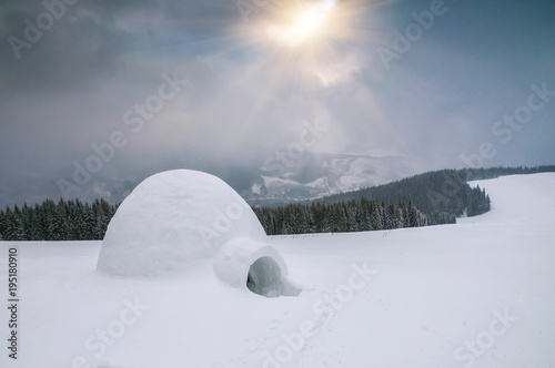 real snow igloo under sunlight © Volodymyr Shevchuk