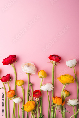 Colorful flowers on a pink background.