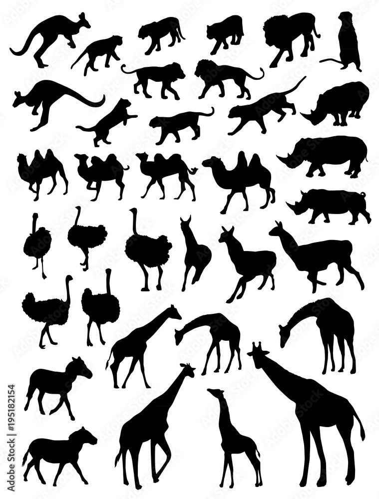 Vector set of wild animals