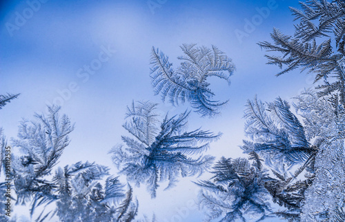 Beautiful  ice pattern on window in winter. Frosty winter pattern at  glass.