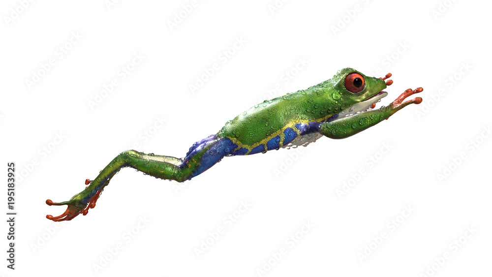Fototapeta premium Ilustracja 3D Red-Eyed Amazon Tree Frog (Agalychnis Callidryas), zwierzę tropikalnych lasów tropikalnych z żywym okiem na białym tle. Renderowanie 3d.