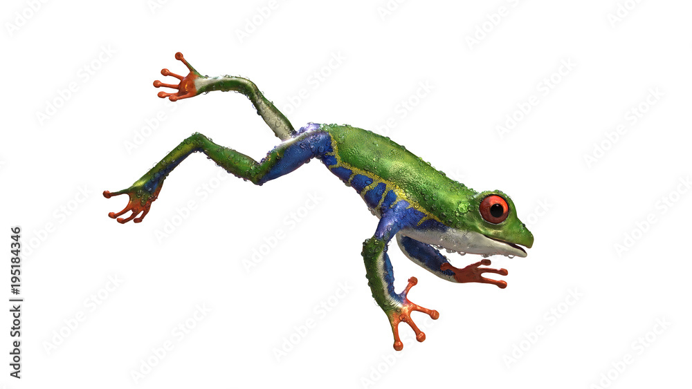 Fototapeta premium Ilustracja 3D Red-Eyed Amazon Tree Frog (Agalychnis Callidryas), zwierzę tropikalnych lasów tropikalnych z żywym okiem na białym tle. Renderowanie 3d.