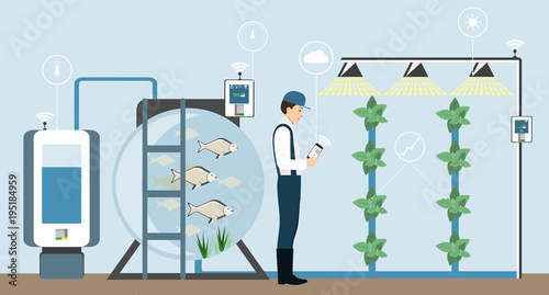 Growing plants in the greenhouse. Smart farm with wireless control. Eco farm with aquaponics system of planting vegetables. Vector illustration.