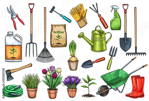 Gardening tools and flowers