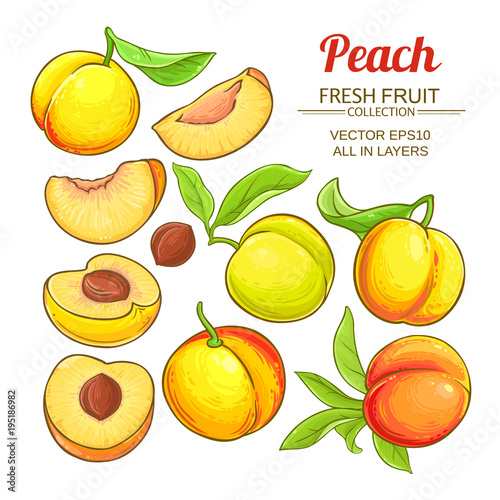 peach vector set
