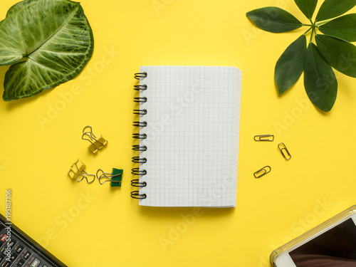 Business flat lay with copy space, calculator, pencil, Notepad on colorful yellow background Plants green leaves photo