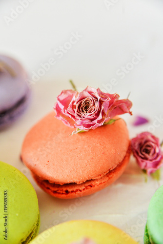 bright colored macaroons, French dessert, close-up, macro