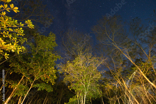 Night sky in Chapada dos Veadeiros, Goias, Brazil