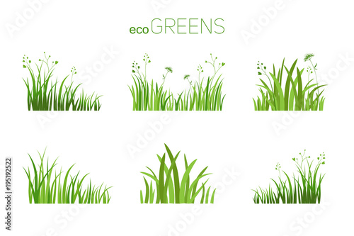 Eco icon grass