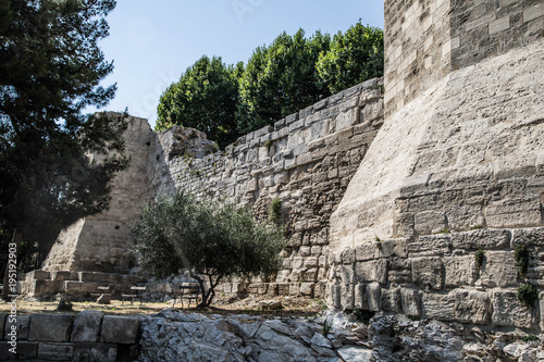 Obraz na plátně Arena, Altstadt und Sehenswürdigkeiten von Arles, Frankreich