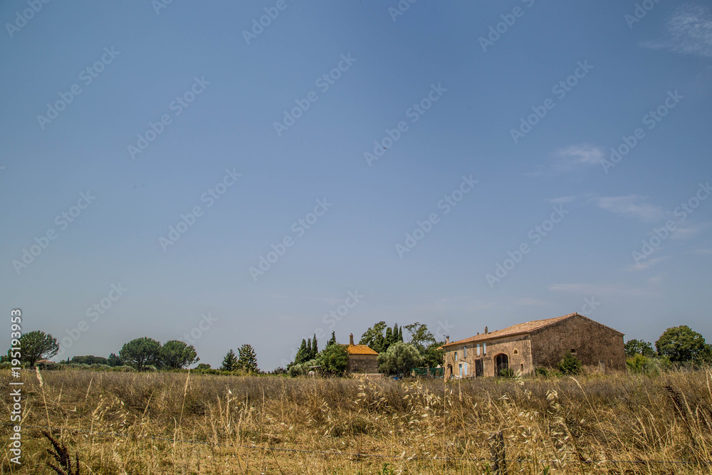 Camargue Landschaft, Provence