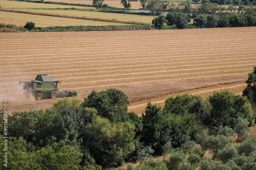 Fototapeta premium Camargue Landschaft, Provence