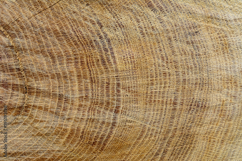 Holz mit schöner Struktur Holz mit schöner Struktur