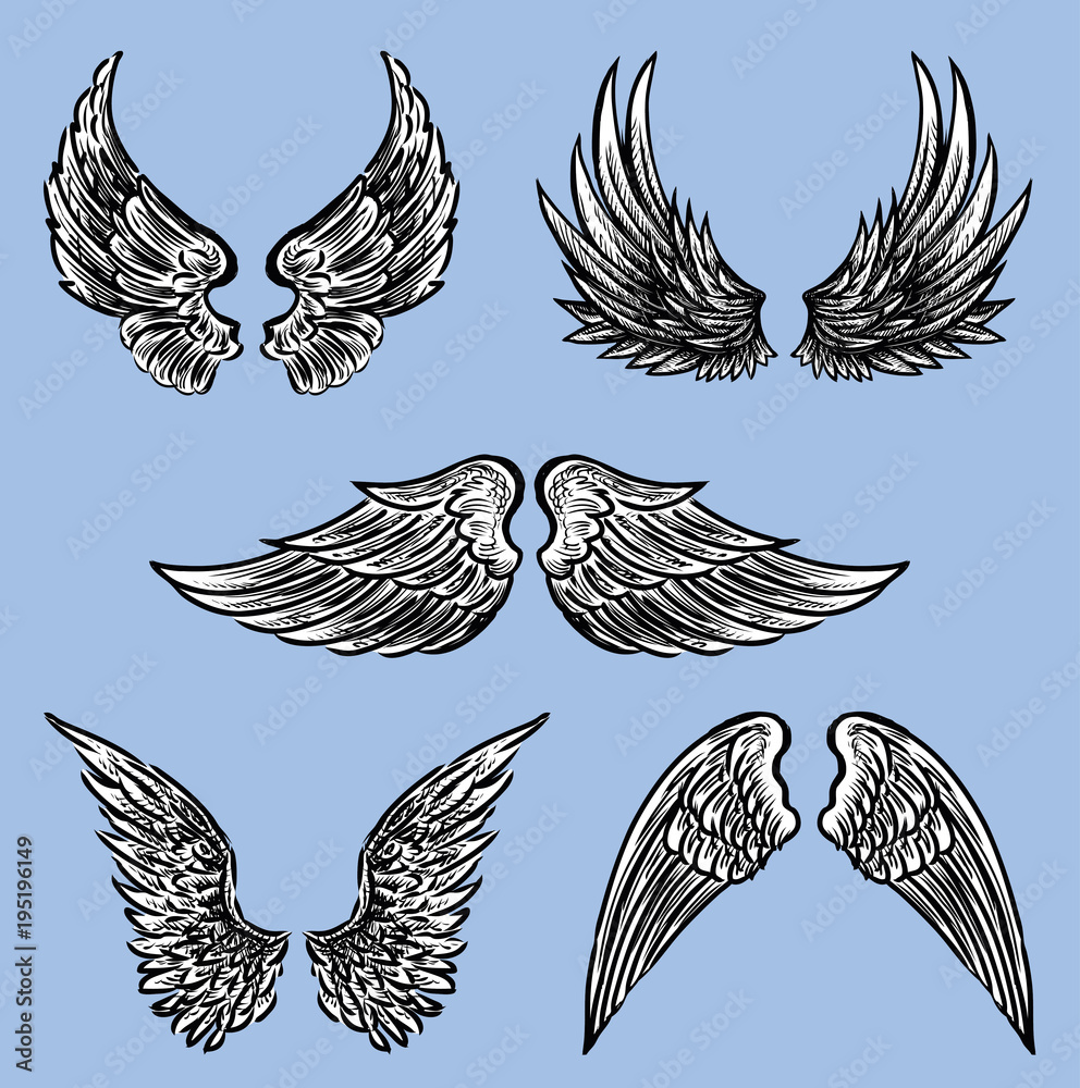 Fototapeta premium The different fictional wings