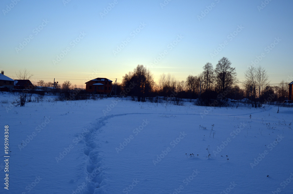 Winter near Kiev
