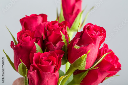 bouquet fresh red roses