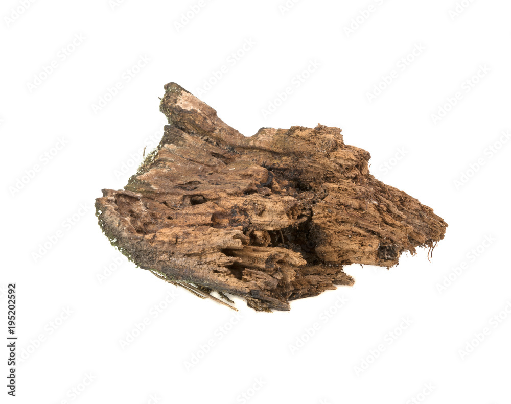 rotten wood isolated on white background