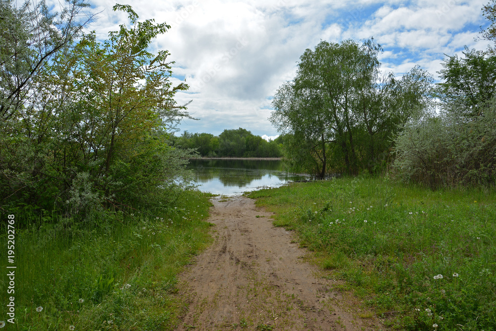 The road was flooded with a river. Bright spring greens and a wide river. The road was flooded with a river. Bright spring greens and a wide river.